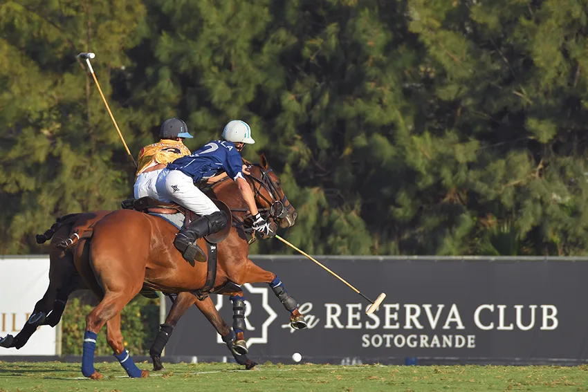 Sotogrande 2024 property sales trends