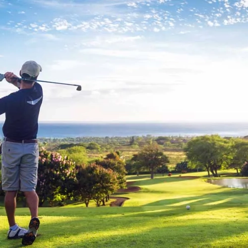 buy a villa in marbella seaviews golf pool